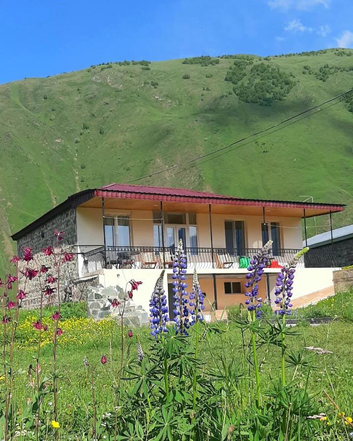 Cozy Hotel Kazbegi Dış mekan fotoğraf